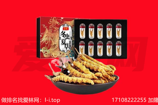 农安县回收虫草.jpg